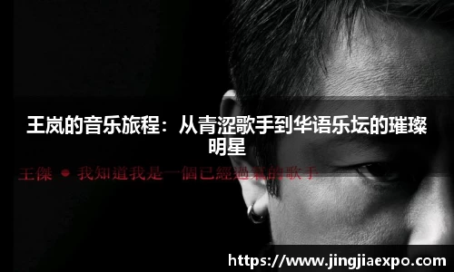王岚的音乐旅程：从青涩歌手到华语乐坛的璀璨明星